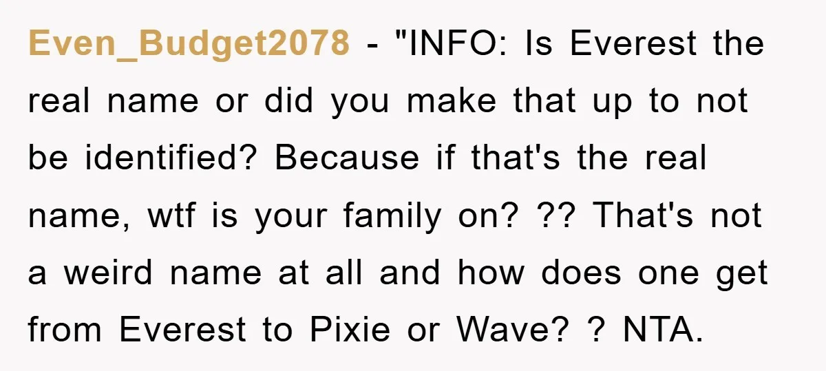 Even_Budget2078 - "INFO: Is Everest the real name or did you make that up to not be identified? Because if that's the real name, wtf is your family on? ??...