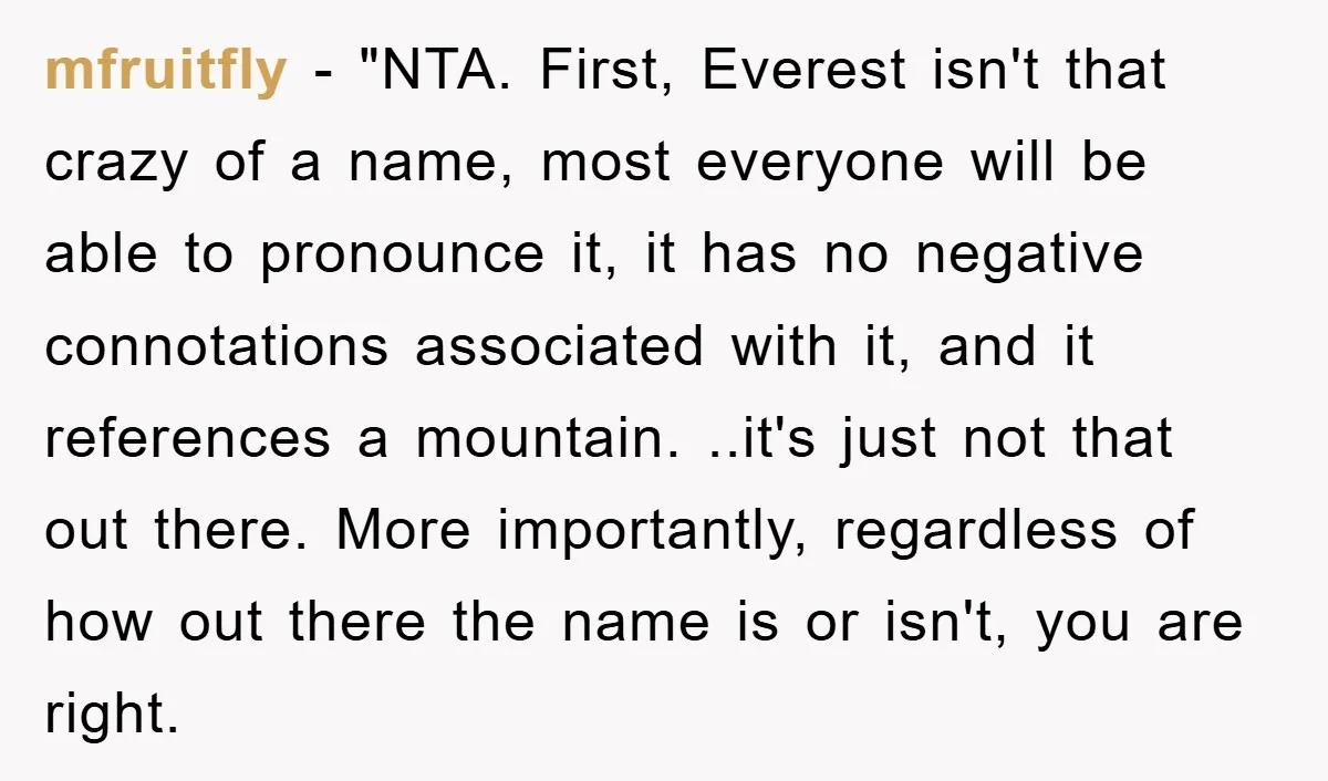 mfruitfly - "NTA. First, Everest isn't that crazy of a name, most everyone will be able to pronounce it, it has no negative connotations associated with it, and it references...