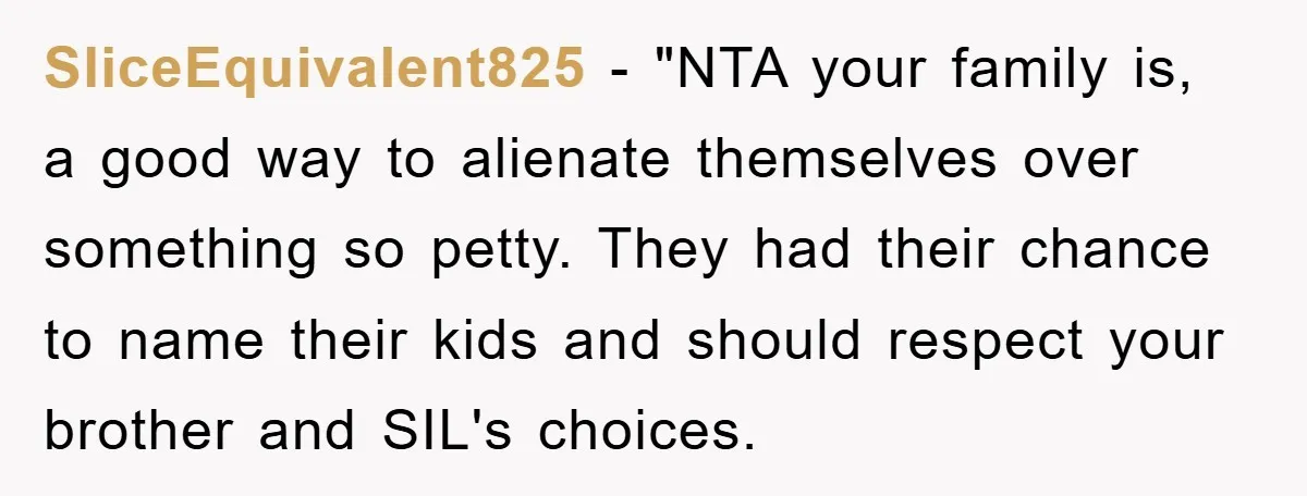 SliceEquivalent825 - "NTA your family is, a good way to alienate themselves over something so petty. They had their chance to name their kids and should respect your brother and...