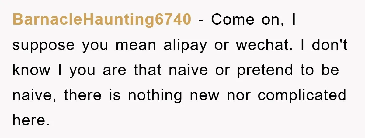 BarnacleHaunting6740 − Come on, I suppose you mean alipay or wechat. I don't know I you are that naive or pretend to be naive, there is nothing new nor complicated...