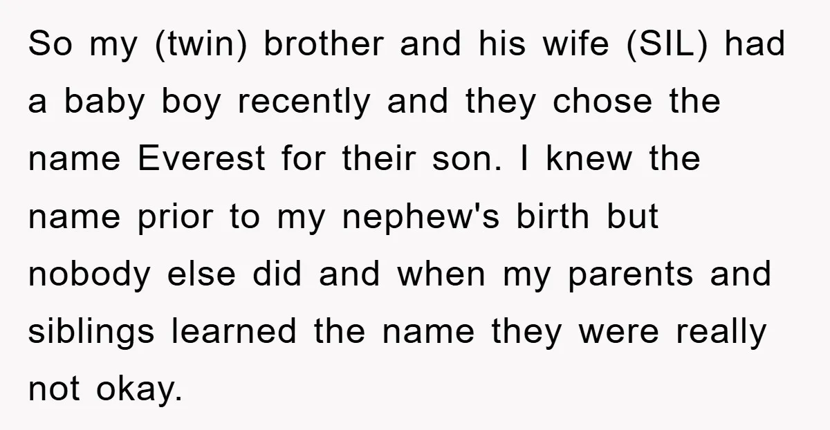 So my (twin) brother and his wife (SIL) had a baby boy recently and they chose the name Everest for their son. I knew the name prior to my nephew's...