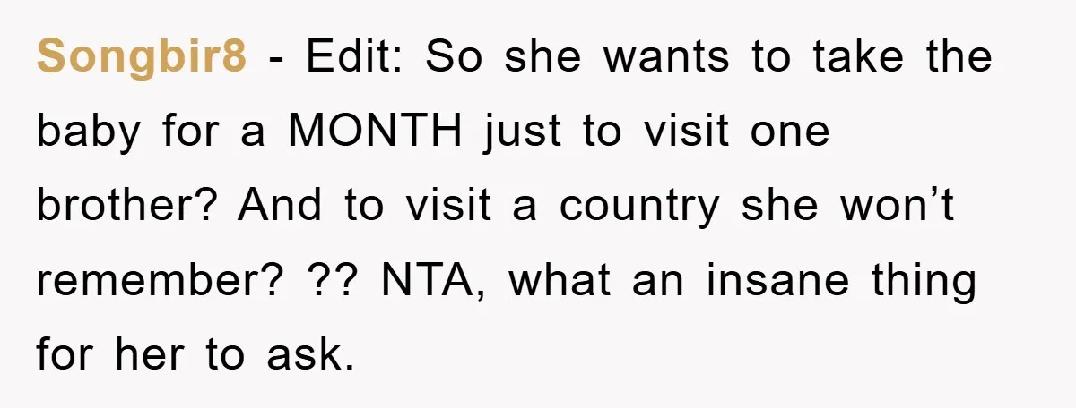 Songbir8 − Edit: So she wants to take the baby for a MONTH just to visit one brother? And to visit a country she won’t remember? ?? NTA, what an...