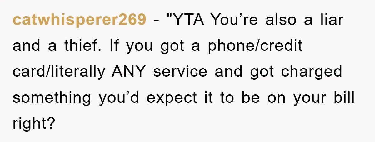 catwhisperer269 - "YTA You’re also a liar and a thief. If you got a phone/credit card/literally ANY service and got charged something you’d expect it to be on your bill...