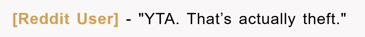 [Reddit User] - "YTA. That’s actually theft."