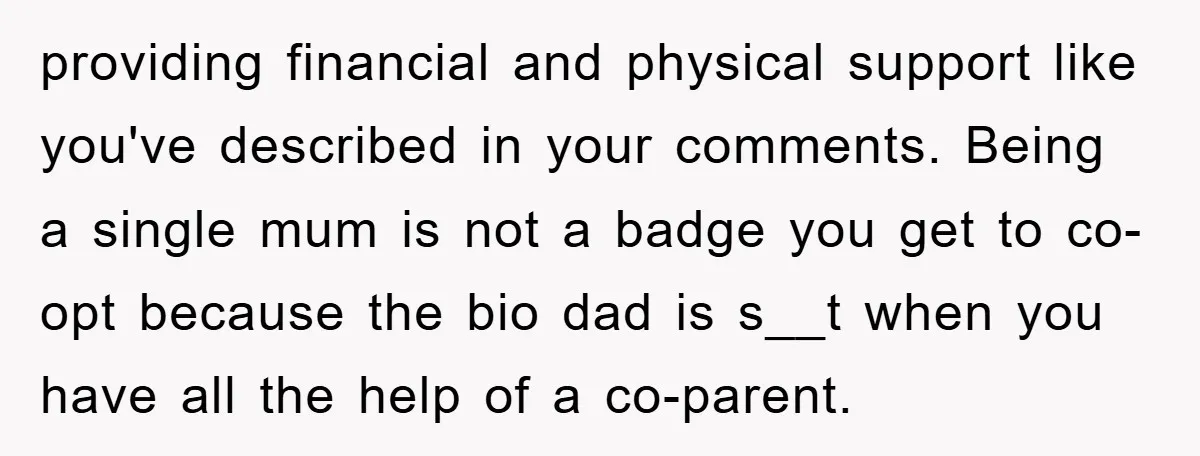 providing financial and physical support like you've described in your comments. Being a single mum is not a badge you get to co-opt because the bio dad is s__t when...