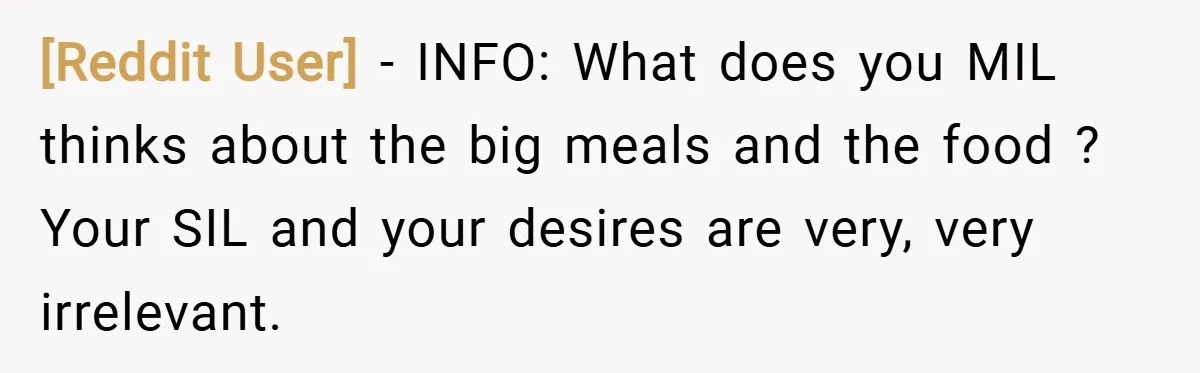 [Reddit User] − INFO: What does you MIL thinks about the big meals and the food ? Your SIL and your desires are very, very irrelevant.