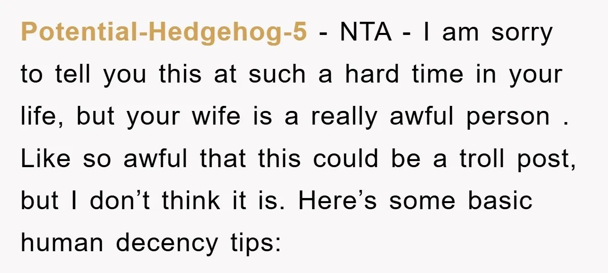 Potential-Hedgehog-5 − NTA - I am sorry to tell you this at such a hard time in your life, but your wife is a really awful person . Like so...