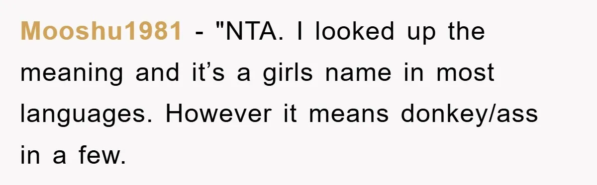 Mooshu1981 - "NTA. I looked up the meaning and it’s a girls name in most languages. However it means donkey/ass in a few.