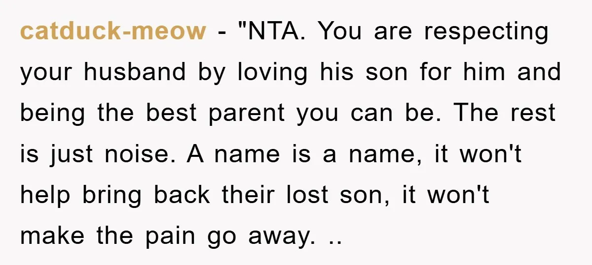 catduck-meow - "NTA. You are respecting your husband by loving his son for him and being the best parent you can be. The rest is just noise. A name is...
