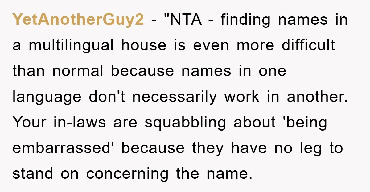 YetAnotherGuy2 - "NTA - finding names in a multilingual house is even more difficult than normal because names in one language don't necessarily work in another. Your in-laws are squabbling...