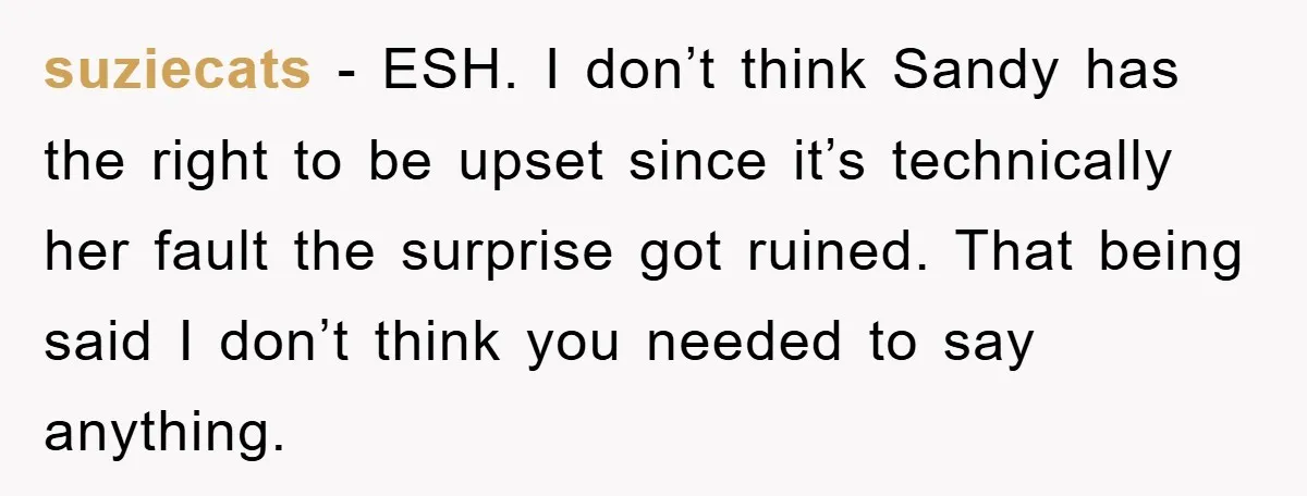 suziecats − ESH. I don’t think Sandy has the right to be upset since it’s technically her fault the surprise got ruined. That being said I don’t think you needed...