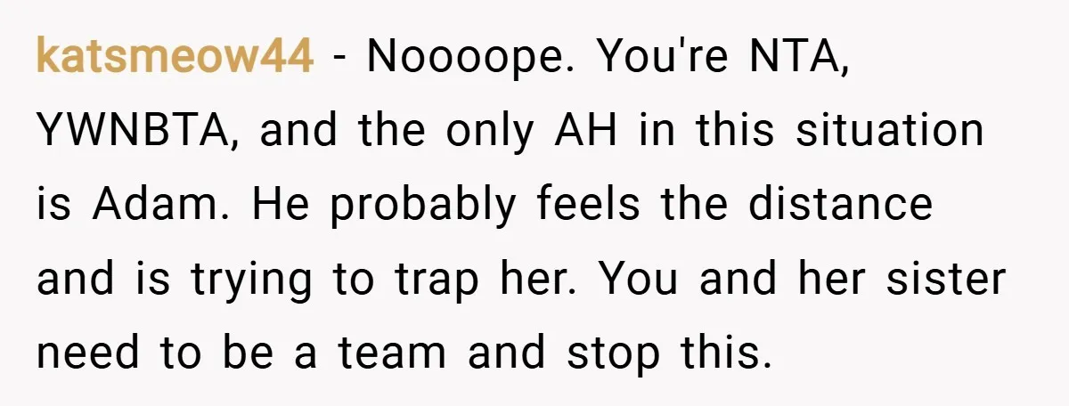 katsmeow44 − Noooope. You're NTA, YWNBTA, and the only AH in this situation is Adam. He probably feels the distance and is trying to trap her. You and her sister...