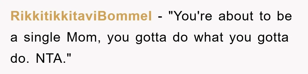 RikkitikkitaviBommel - "You're about to be a single Mom, you gotta do what you gotta do. NTA."