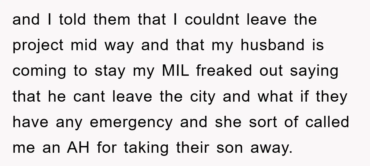 and I told them that I couldnt leave the project mid way and that my husband is coming to stay my MIL freaked out saying that he cant leave the...