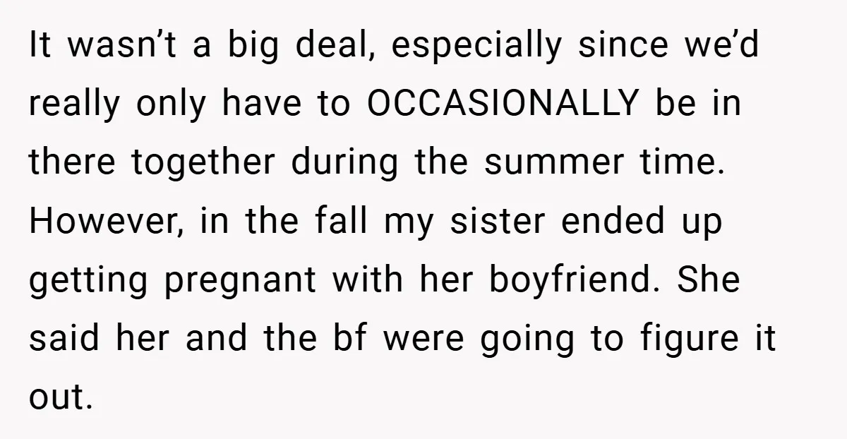 It wasn’t a big deal, especially since we’d really only have to OCCASIONALLY be in there together during the summer time. However, in the fall my sister ended up getting...
