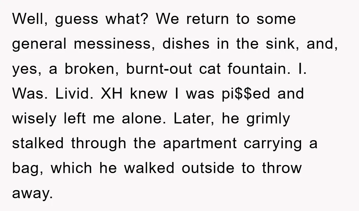 Well, guess what? We return to some general messiness, dishes in the sink, and, yes, a broken, burnt-out cat fountain. I. Was. Livid. XH knew I was pi$$ed and wisely...