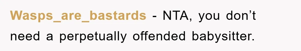 Wasps_are_bastards − NTA, you don’t need a perpetually offended babysitter.