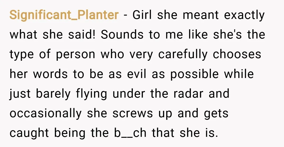 Significant_Planter − Girl she meant exactly what she said! Sounds to me like she's the type of person who very carefully chooses her words to be as evil as possible...
