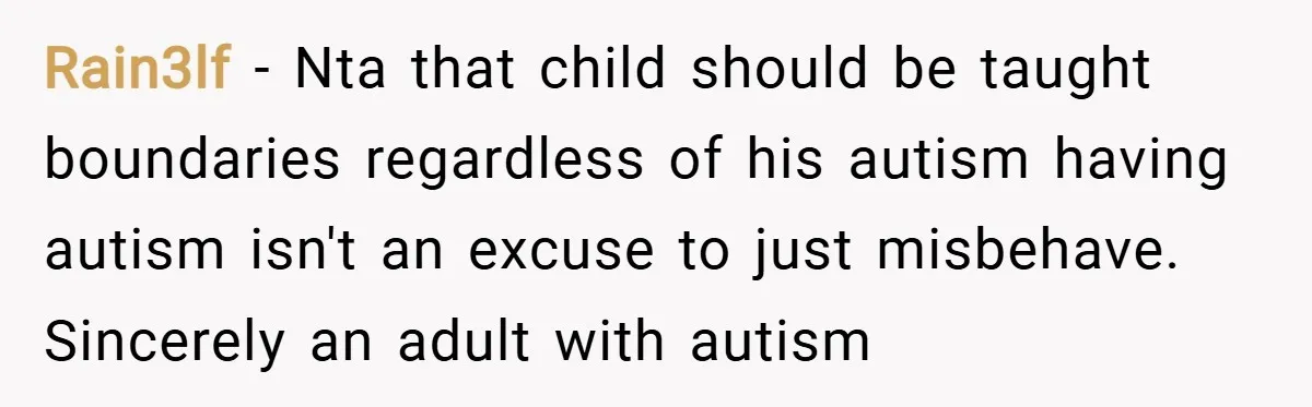 Rain3lf − Nta that child should be taught boundaries regardless of his autism having autism isn't an excuse to just misbehave. Sincerely an adult with autism