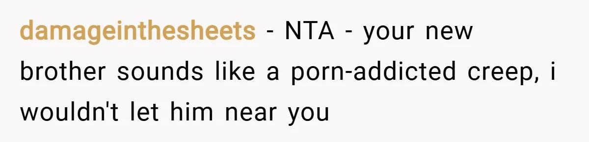 damageinthesheets − NTA - your new brother sounds like a porn-addicted creep, i wouldn't let him near you