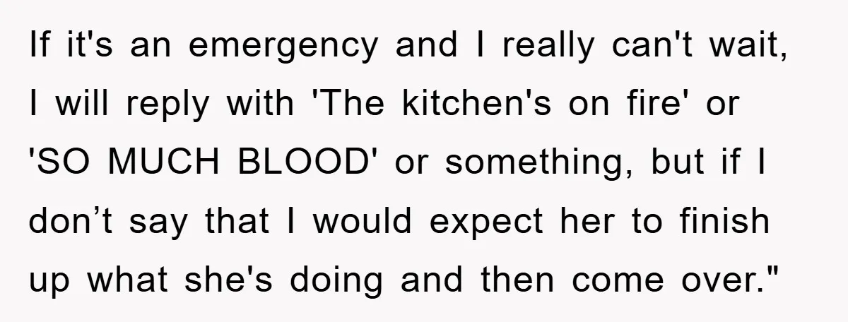 If it's an emergency and I really can't wait, I will reply with 'The kitchen's on fire' or 'SO MUCH BLOOD' or something, but if I don’t say that I...