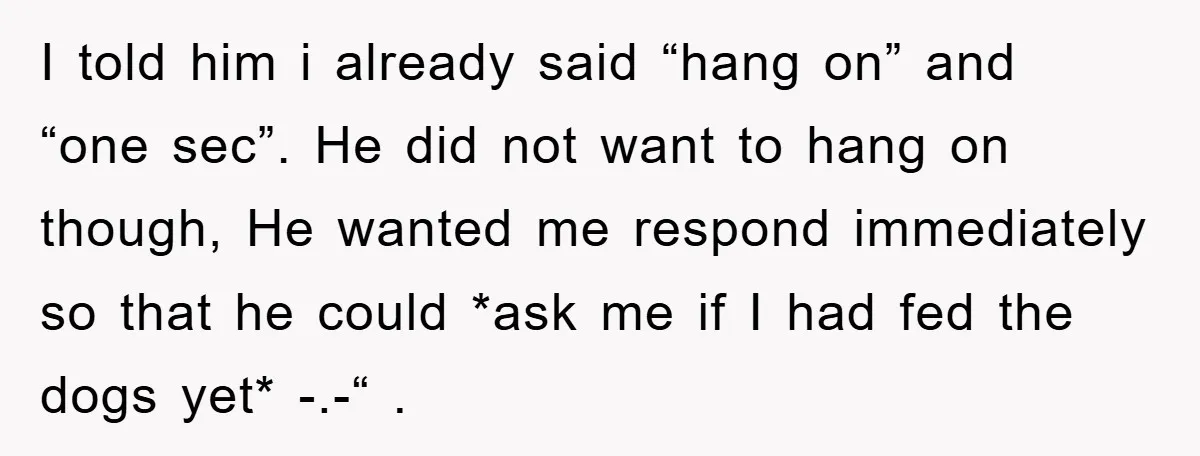 I told him i already said “hang on” and “one sec”. He did not want to hang on though, He wanted me respond immediately so that he could *ask me...