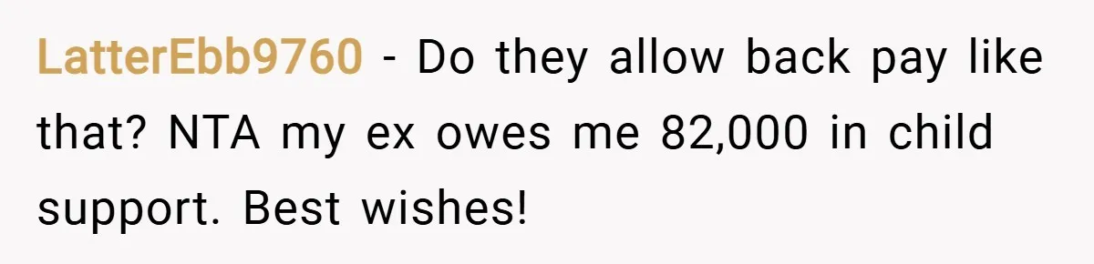 LatterEbb9760 − Do they allow back pay like that? NTA my ex owes me 82,000 in child support. Best wishes!