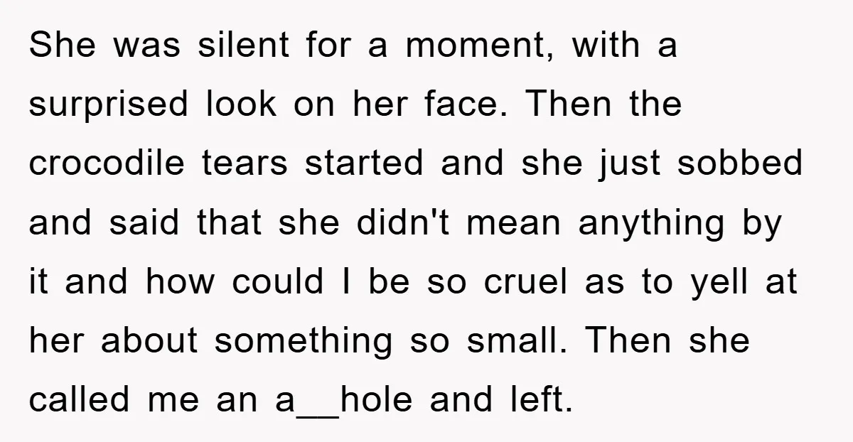 She was silent for a moment, with a surprised look on her face. Then the crocodile tears started and she just sobbed and said that she didn't mean anything by...