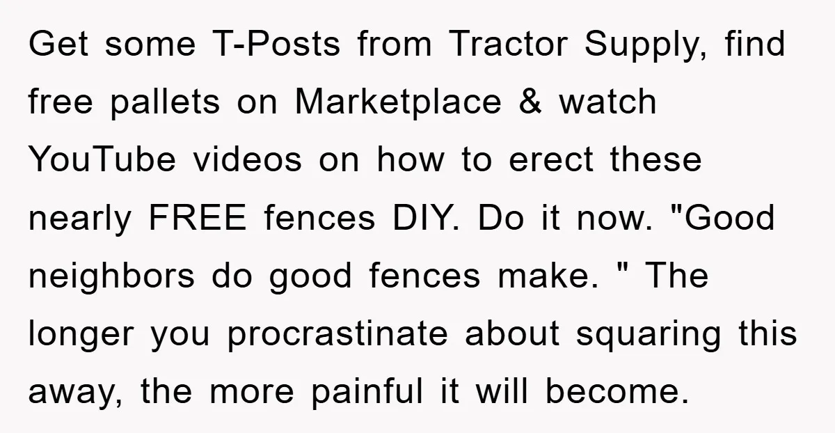 Get some T-Posts from Tractor Supply, find free pallets on Marketplace & watch YouTube videos on how to erect these nearly FREE fences DIY. Do it now. "Good neighbors do...