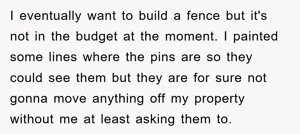 I eventually want to build a fence but it's not in the budget at the moment. I painted some lines where the pins are so they could see them but...