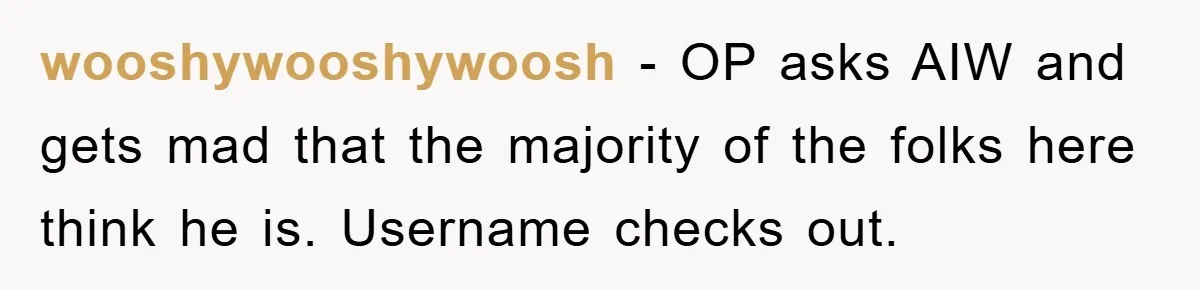 wooshywooshywoosh - OP asks AIW and gets mad that the majority of the folks here think he is. Username checks out.
