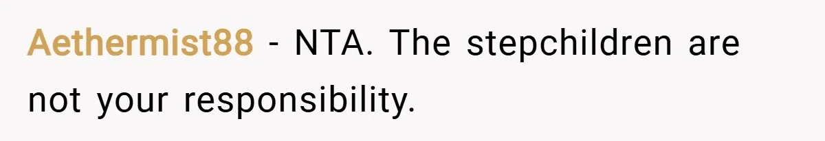 Aethermist88 − NTA. The stepchildren are not your responsibility.