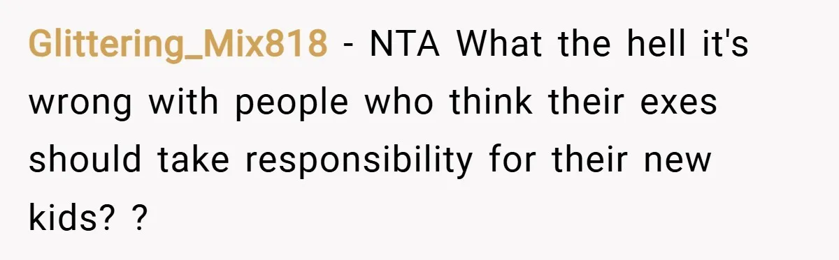 Glittering_Mix818 − NTA What the hell it's wrong with people who think their exes should take responsibility for their new kids? ?