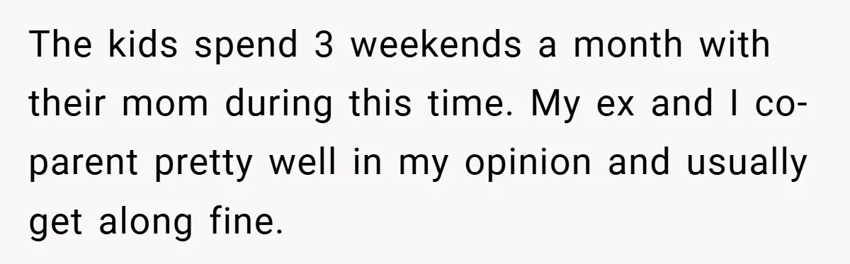 The kids spend 3 weekends a month with their mom during this time. My ex and I co-parent pretty well in my opinion and usually get along fine.