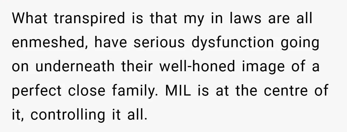 What transpired is that my in laws are all enmeshed, have serious dysfunction going on underneath their well-honed image of a perfect close family. MIL is at the centre of...