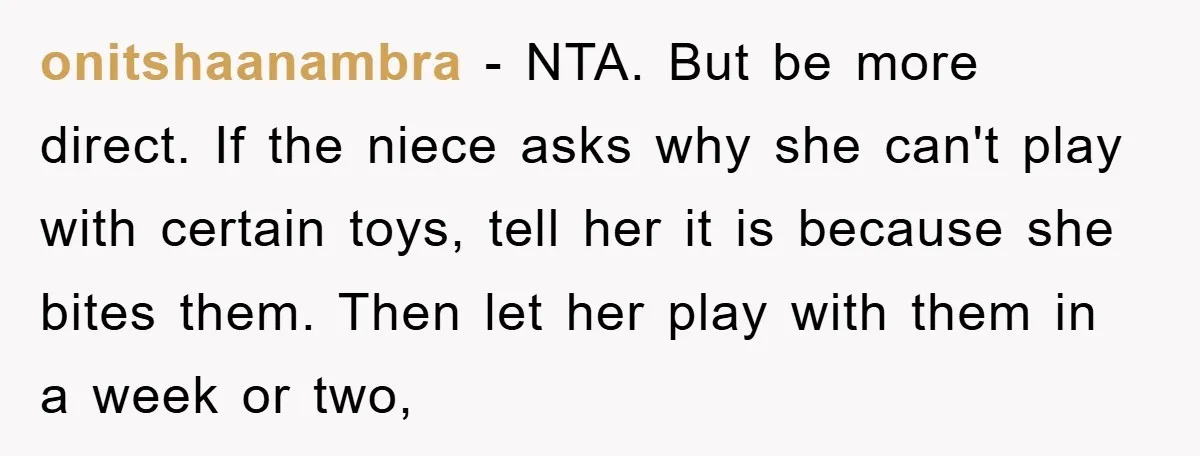 onitshaanambra - NTA. But be more direct. If the niece asks why she can't play with certain toys, tell her it is because she bites them. Then let her play...