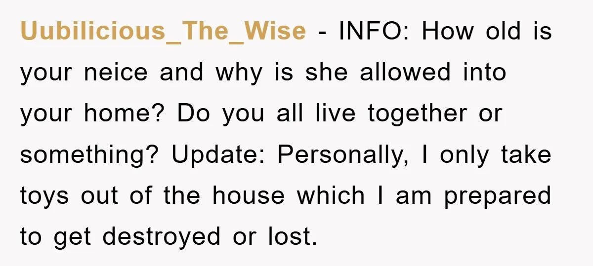 Uubilicious_The_Wise - INFO: How old is your neice and why is she allowed into your home? Do you all live together or something? Update: Personally, I only take toys out...
