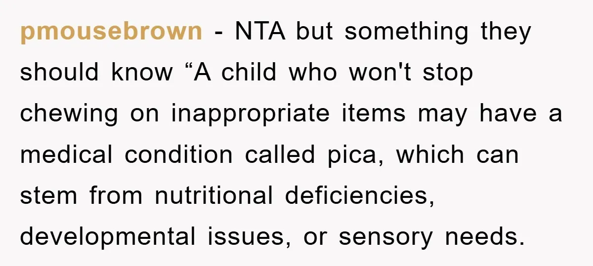 pmousebrown - NTA but something they should know “A child who won't stop chewing on inappropriate items may have a medical condition called pica, which can stem from nutritional deficiencies,...