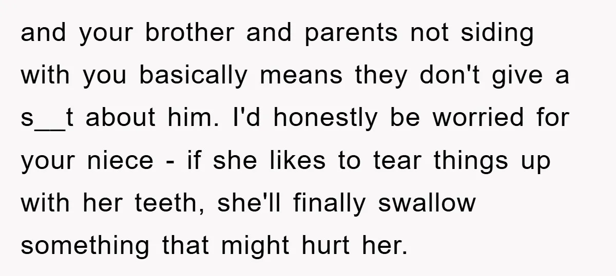 and your brother and parents not siding with you basically means they don't give a s__t about him. I'd honestly be worried for your niece - if she likes to...