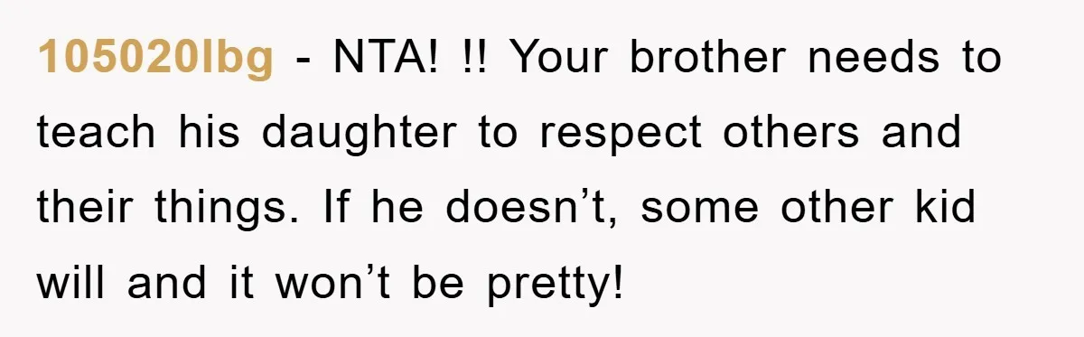 105020lbg - NTA! !! Your brother needs to teach his daughter to respect others and their things. If he doesn’t, some other kid will and it won’t be pretty!