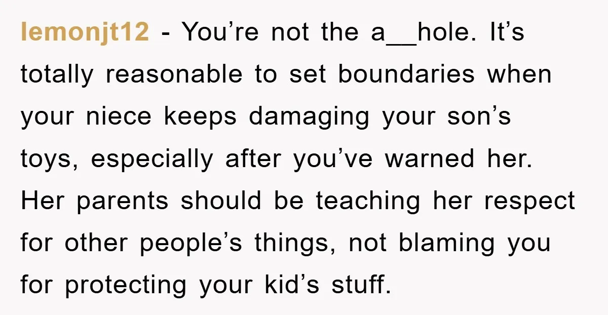 lemonjt12 - You’re not the a__hole. It’s totally reasonable to set boundaries when your niece keeps damaging your son’s toys, especially after you’ve warned her. Her parents should be teaching...
