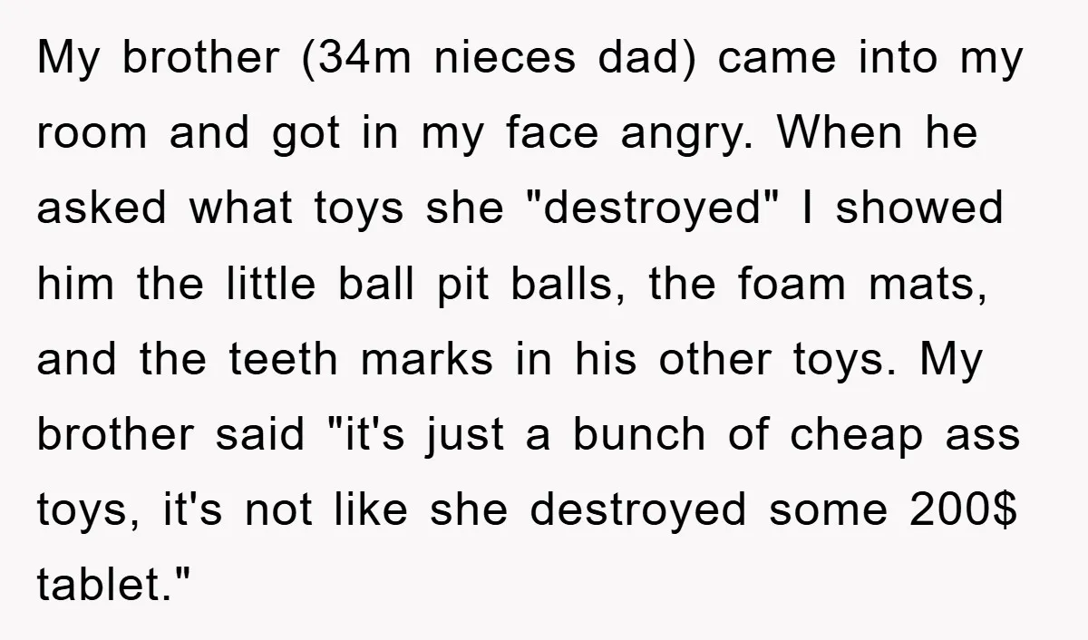 My brother (34m nieces dad) came into my room and got in my face angry. When he asked what toys she "destroyed" I showed him the little ball pit balls,...
