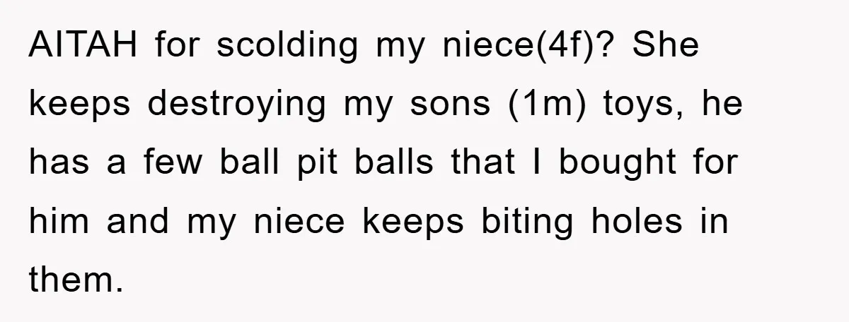 AITAH for scolding my niece(4f)? She keeps destroying my sons (1m) toys, he has a few ball pit balls that I bought for him and my niece keeps biting holes...