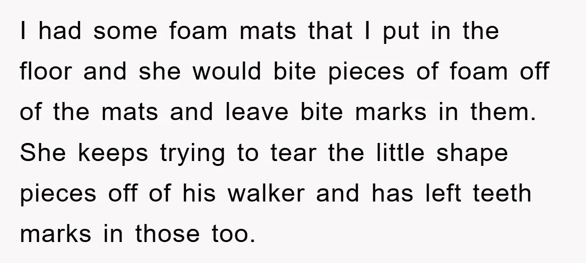 I had some foam mats that I put in the floor and she would bite pieces of foam off of the mats and leave bite marks in them. She keeps...