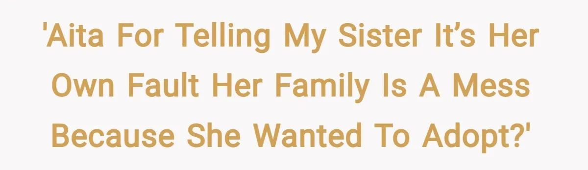 'AITA for telling my sister it’s her own fault her family is a mess because she wanted to adopt?'