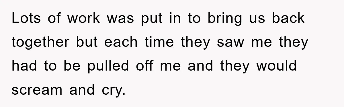 Lots of work was put in to bring us back together but each time they saw me they had to be pulled off me and they would scream and cry.