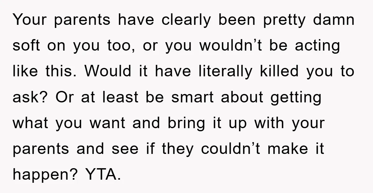 Your parents have clearly been pretty damn soft on you too, or you wouldn’t be acting like this. Would it have literally killed you to ask? Or at least be...