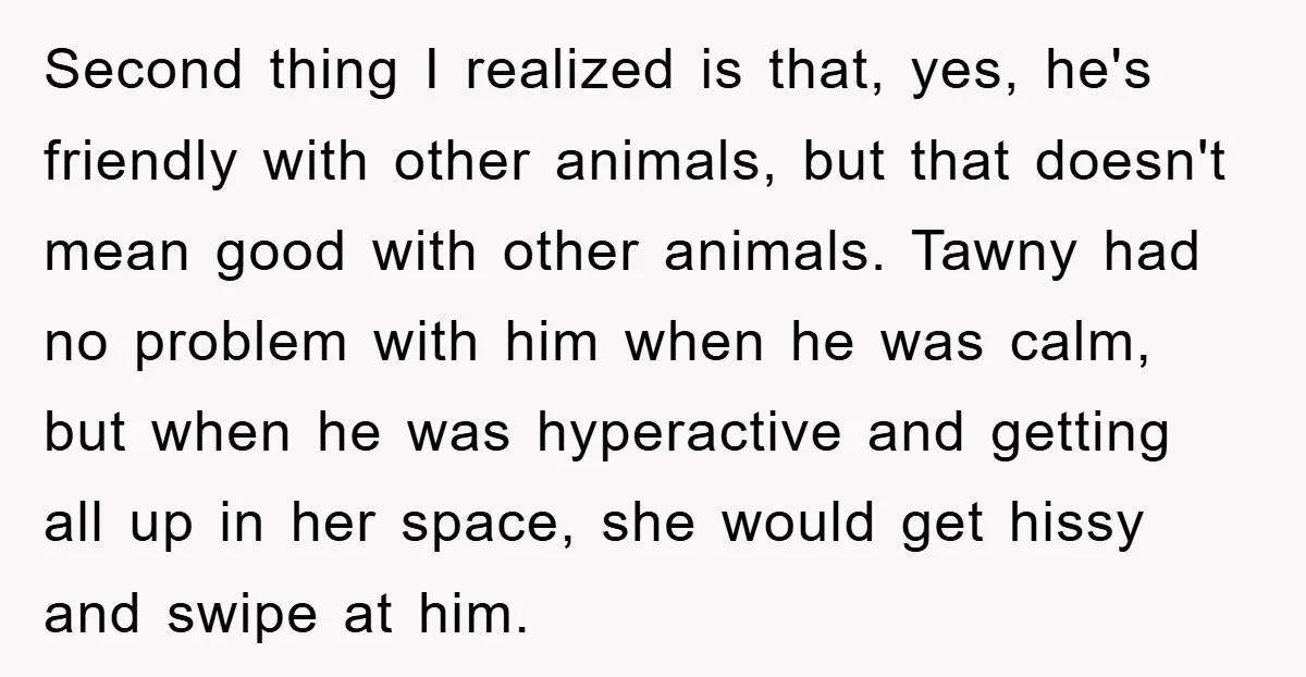 Second thing I realized is that, yes, he's friendly with other animals, but that doesn't mean good with other animals. Tawny had no problem with him when he was calm,...