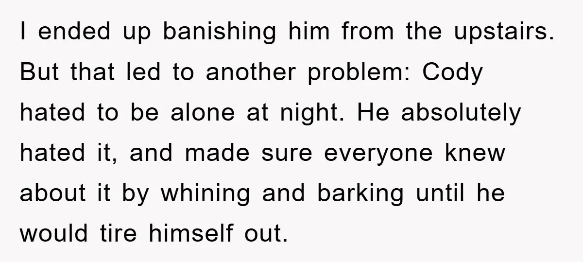 I ended up banishing him from the upstairs. But that led to another problem: Cody hated to be alone at night. He absolutely hated it, and made sure everyone knew...