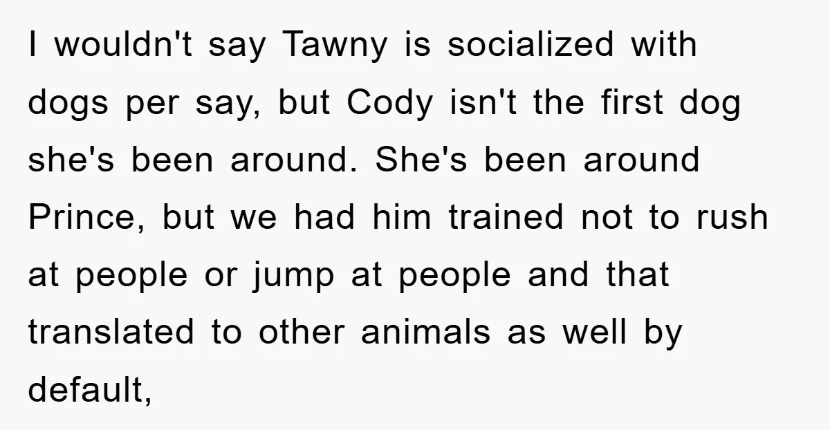 I wouldn't say Tawny is socialized with dogs per say, but Cody isn't the first dog she's been around. She's been around Prince, but we had him trained not to...